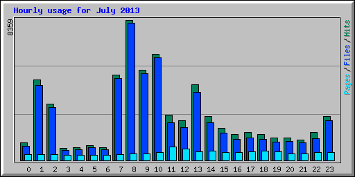 Hourly usage for July 2013