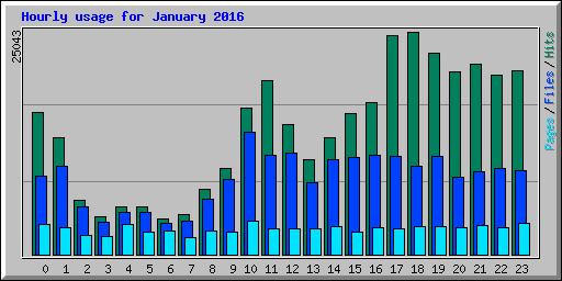 Hourly usage for January 2016