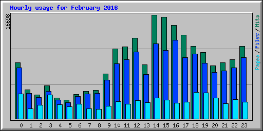 Hourly usage for February 2016